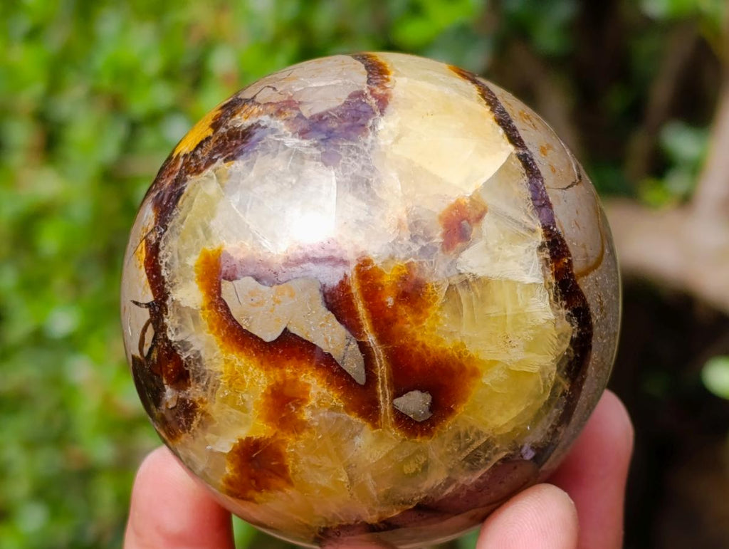 Polished Septerye Spheres x 4 From Mahajanga, Madagascar - Toprock Gemstones and Minerals 