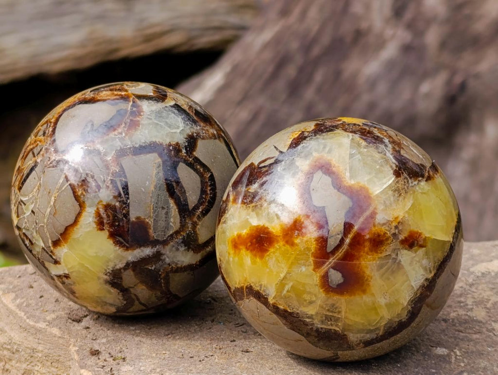 Polished Septerye Spheres x 4 From Mahajanga, Madagascar - Toprock Gemstones and Minerals 