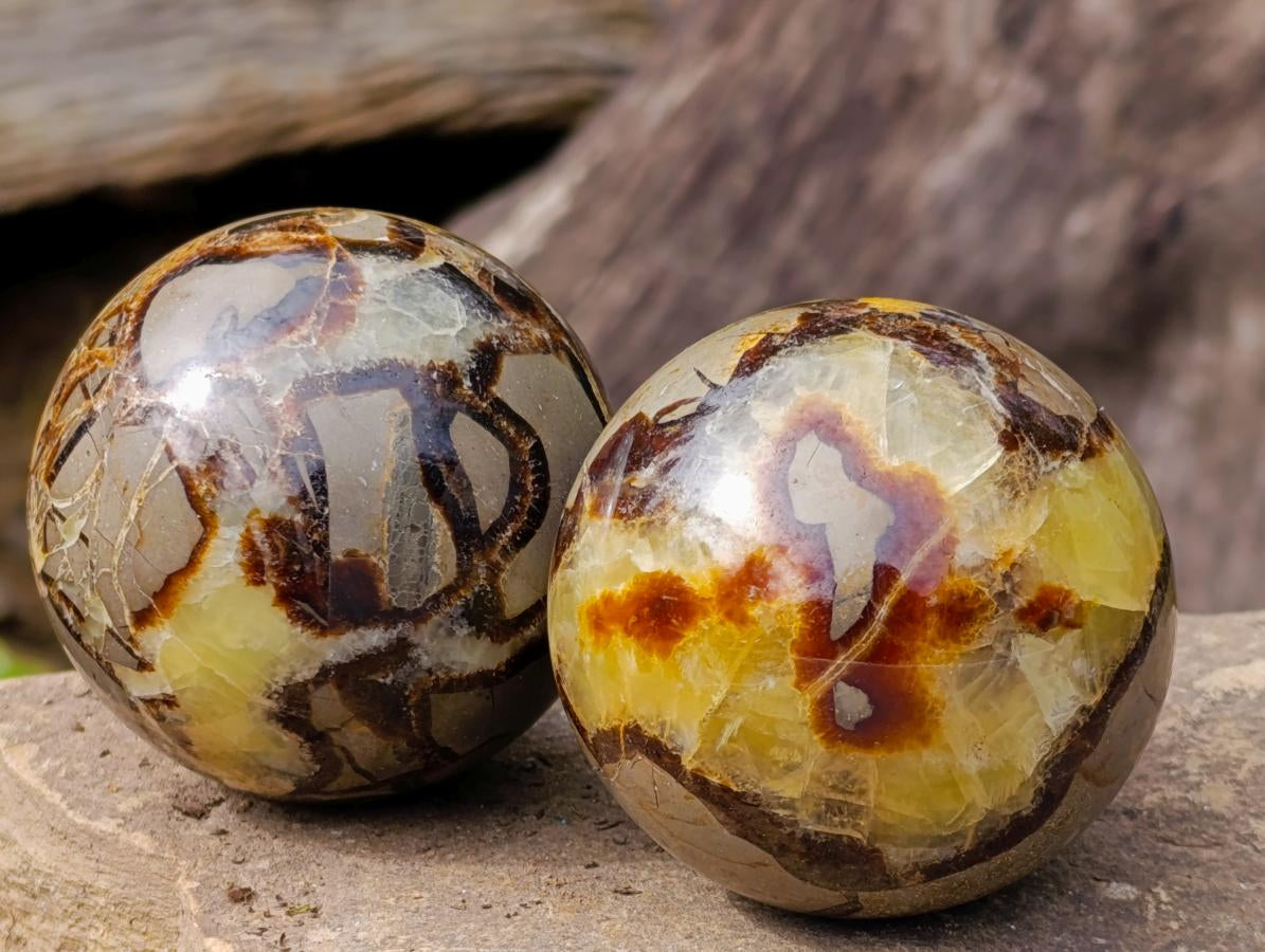 Polished Septerye Spheres x 4 From Mahajanga, Madagascar - Toprock Gemstones and Minerals 