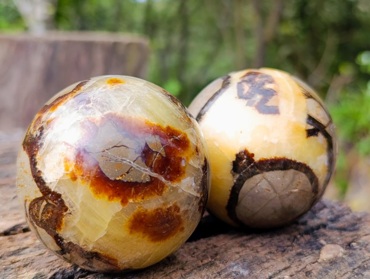 Polished Septerye Spheres x 4 From Mahajanga, Madagascar - Toprock Gemstones and Minerals 