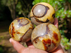 Polished Septerye Spheres x 4 From Mahajanga, Madagascar - Toprock Gemstones and Minerals 
