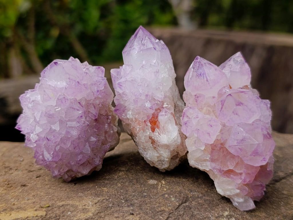 Natural Spirit Amethyst Clusters x 12 From Boekenhouthoek, South Africa - Toprock Gemstones and Minerals 