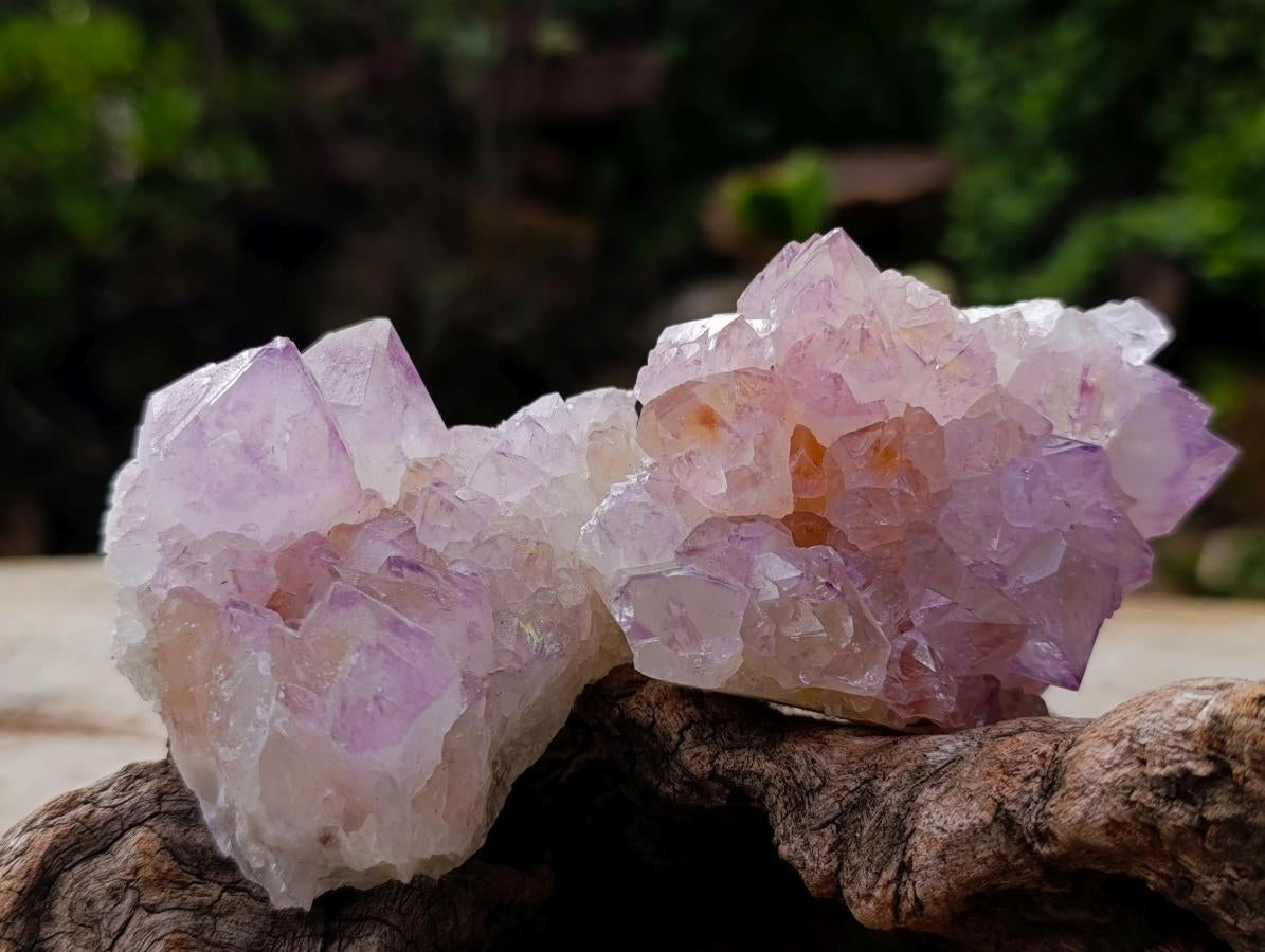 Natural Spirit Amethyst Clusters x 12 From Boekenhouthoek, South Africa - Toprock Gemstones and Minerals 