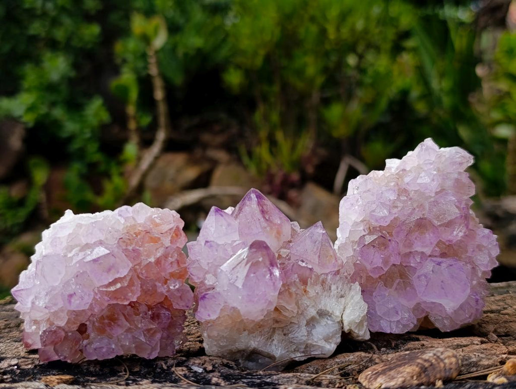 Natural Spirit Amethyst Clusters x 12 From Boekenhouthoek, South Africa - Toprock Gemstones and Minerals 