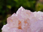 Natural Spirit Amethyst Clusters x 12 From Boekenhouthoek, South Africa - Toprock Gemstones and Minerals 