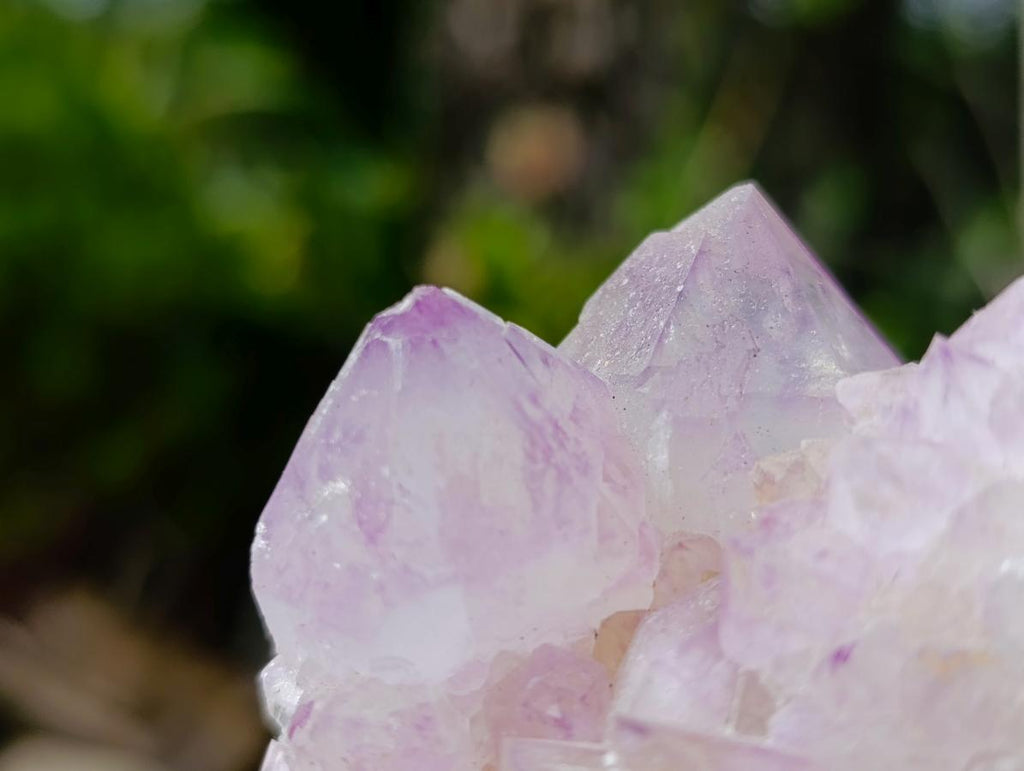 Natural Spirit Amethyst Clusters x 12 From Boekenhouthoek, South Africa - Toprock Gemstones and Minerals 