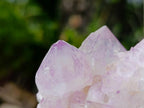 Natural Spirit Amethyst Clusters x 12 From Boekenhouthoek, South Africa - Toprock Gemstones and Minerals 