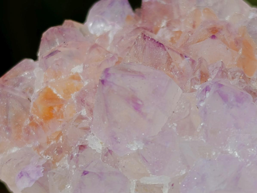 Natural Spirit Amethyst Clusters x 12 From Boekenhouthoek, South Africa - Toprock Gemstones and Minerals 