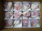 Natural Spirit Amethyst Clusters x 12 From Boekenhouthoek, South Africa - Toprock Gemstones and Minerals 