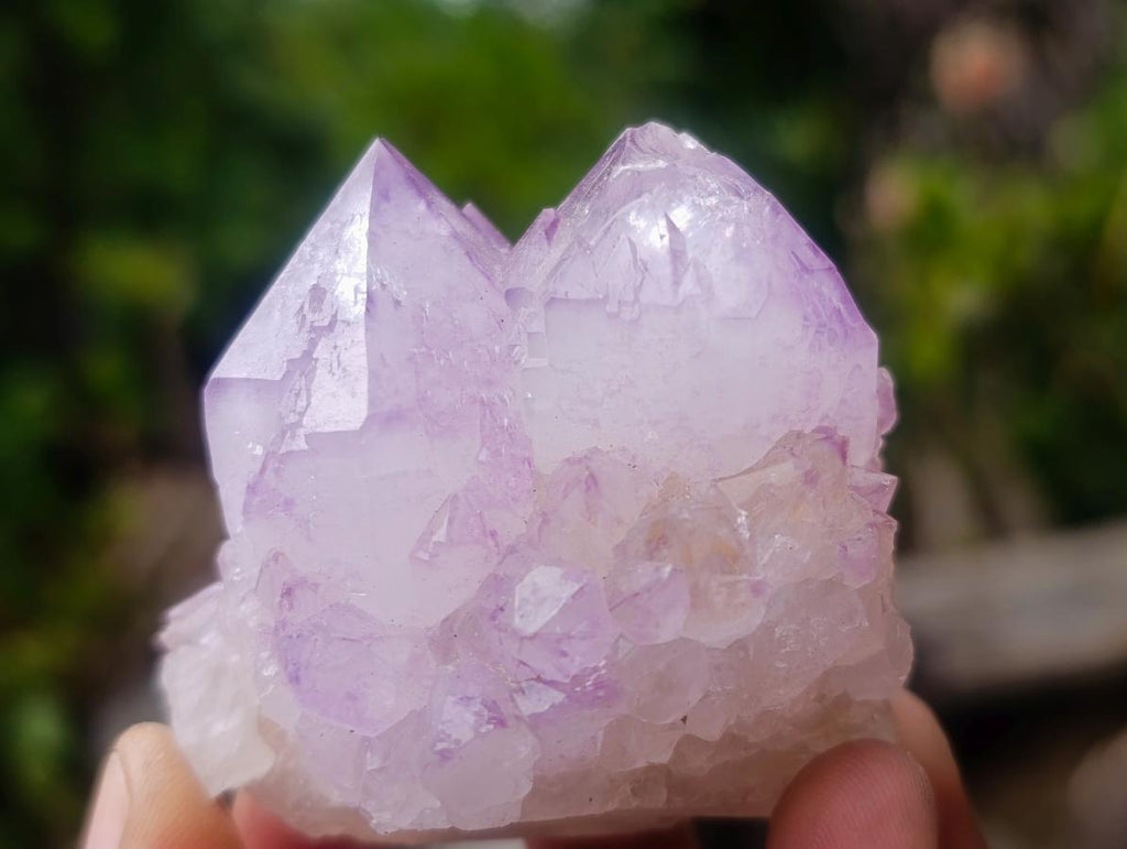 Natural Spirit Amethyst Clusters x 12 From Boekenhouthoek, South Africa - Toprock Gemstones and Minerals 