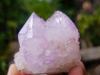 Natural Spirit Amethyst Clusters x 12 From Boekenhouthoek, South Africa - Toprock Gemstones and Minerals 