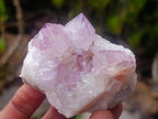 Natural Spirit Amethyst Clusters x 12 From Boekenhouthoek, South Africa - Toprock Gemstones and Minerals 