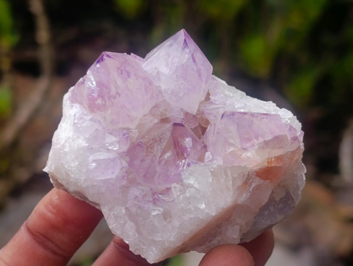 Natural Spirit Amethyst Clusters x 12 From Boekenhouthoek, South Africa - Toprock Gemstones and Minerals 