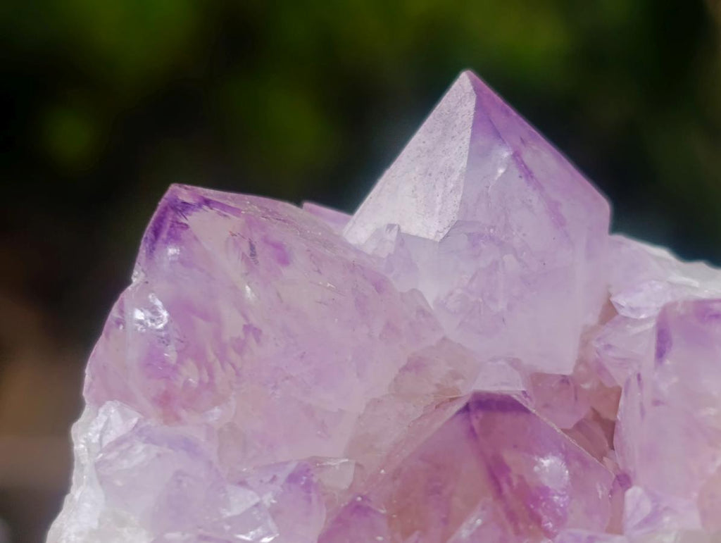 Natural Spirit Amethyst Clusters x 12 From Boekenhouthoek, South Africa - Toprock Gemstones and Minerals 