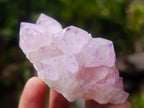 Natural Spirit Amethyst Clusters x 12 From Boekenhouthoek, South Africa - Toprock Gemstones and Minerals 