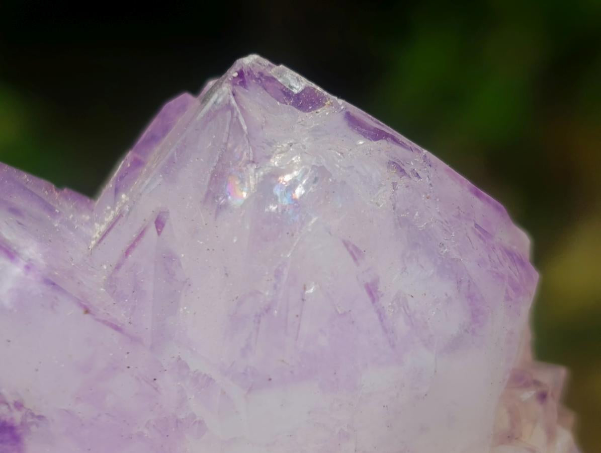 Natural Spirit Amethyst Clusters x 12 From Boekenhouthoek, South Africa - Toprock Gemstones and Minerals 