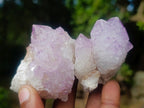 Natural Spirit Amethyst Clusters x 12 From Boekenhouthoek, South Africa - Toprock Gemstones and Minerals 