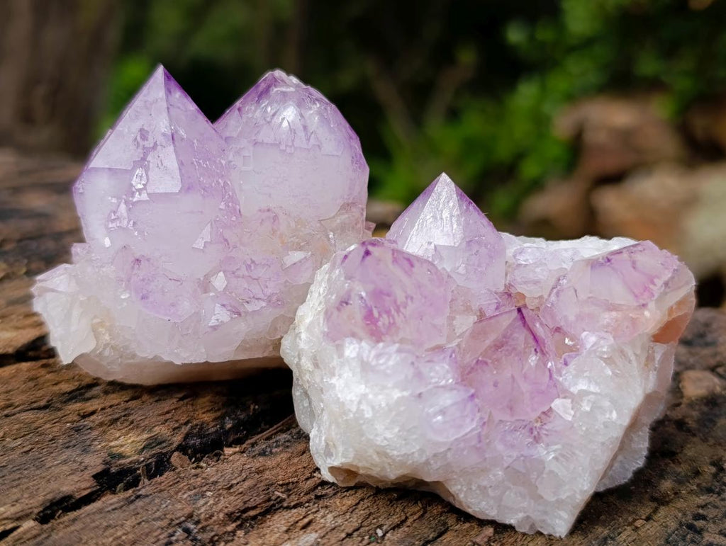 Natural Spirit Amethyst Clusters x 12 From Boekenhouthoek, South Africa - Toprock Gemstones and Minerals 