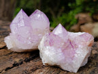Natural Spirit Amethyst Clusters x 12 From Boekenhouthoek, South Africa - Toprock Gemstones and Minerals 