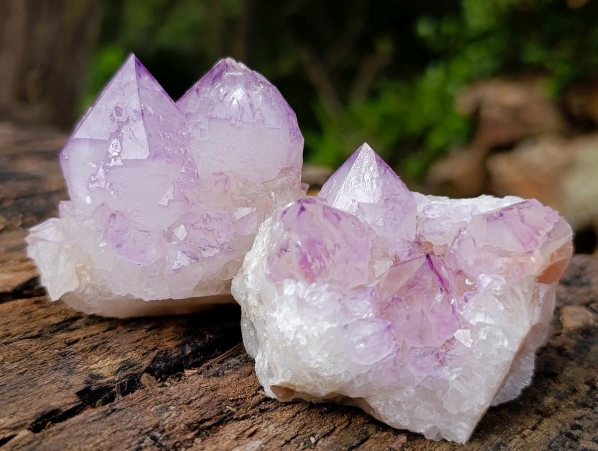 Natural Spirit Amethyst Clusters x 12 From Boekenhouthoek, South Africa - Toprock Gemstones and Minerals 