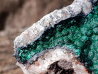 Natural Large Crystalline Ball Malachite on Quartz and Dolomite Matrix x 1 From Mindingi Mine, Kambove, Congo - Toprock Gemstones and Minerals 