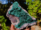 Natural Large Crystalline Ball Malachite on Quartz and Dolomite Matrix x 1 From Mindingi Mine, Kambove, Congo - Toprock Gemstones and Minerals 