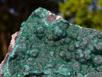 Natural Large Crystalline Ball Malachite on Quartz and Dolomite Matrix x 1 From Mindingi Mine, Kambove, Congo - Toprock Gemstones and Minerals 