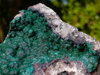 Natural Large Crystalline Ball Malachite on Quartz and Dolomite Matrix x 1 From Mindingi Mine, Kambove, Congo - Toprock Gemstones and Minerals 
