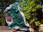 Natural Large Crystalline Ball Malachite on Quartz and Dolomite Matrix x 1 From Mindingi Mine, Kambove, Congo - Toprock Gemstones and Minerals 