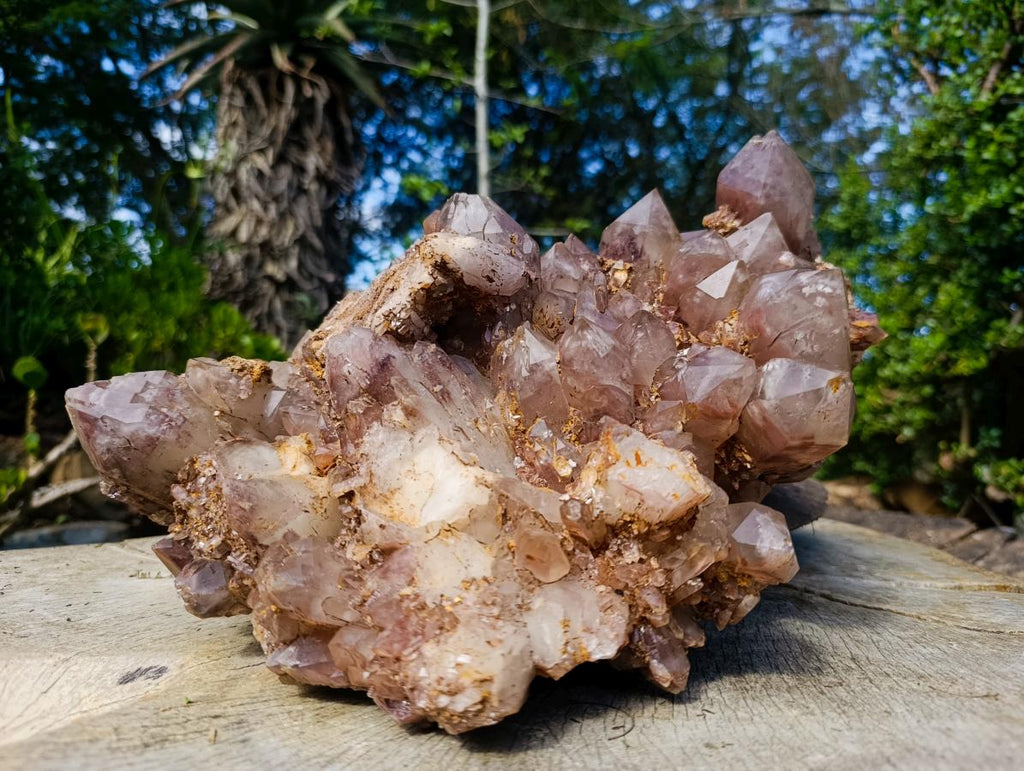 Natural XL Red Hematoid Quartz Cluster x 1 From Karoi, Zimbabwe - Toprock Gemstones and Minerals 