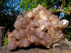 Natural XL Red Hematoid Quartz Cluster x 1 From Karoi, Zimbabwe - Toprock Gemstones and Minerals 