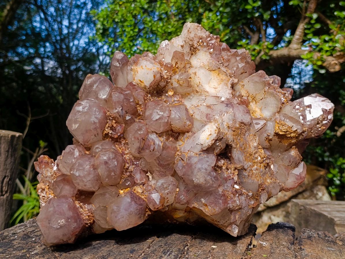 Natural XL Red Hematoid Quartz Cluster x 1 From Karoi, Zimbabwe - Toprock Gemstones and Minerals 