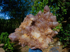 Natural XL Red Hematoid Quartz Cluster x 1 From Karoi, Zimbabwe - Toprock Gemstones and Minerals 
