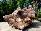 Natural XL Red Hematoid Quartz Cluster x 1 From Karoi, Zimbabwe - Toprock Gemstones and Minerals 