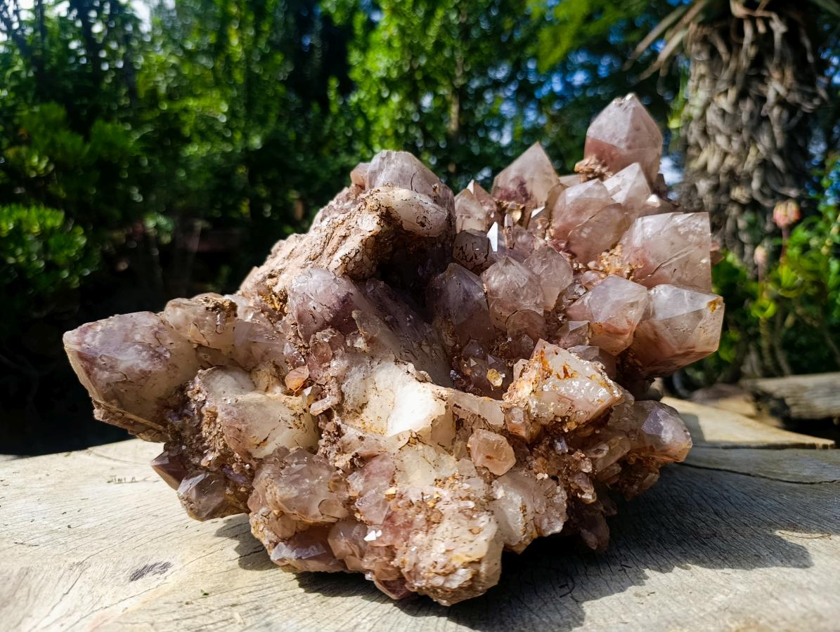 Natural XL Red Hematoid Quartz Cluster x 1 From Karoi, Zimbabwe - Toprock Gemstones and Minerals 