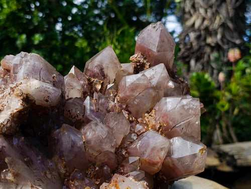 Natural XL Red Hematoid Quartz Cluster x 1 From Karoi, Zimbabwe - Toprock Gemstones and Minerals 