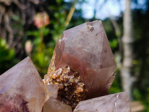 Natural XL Red Hematoid Quartz Cluster x 1 From Karoi, Zimbabwe - Toprock Gemstones and Minerals 