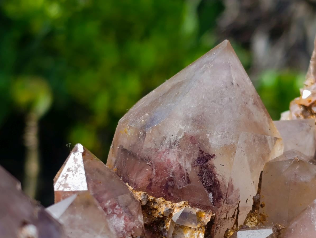 Natural XL Red Hematoid Quartz Cluster x 1 From Karoi, Zimbabwe - Toprock Gemstones and Minerals 