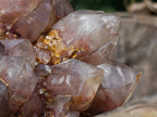 Natural XL Red Hematoid Quartz Cluster x 1 From Karoi, Zimbabwe - Toprock Gemstones and Minerals 
