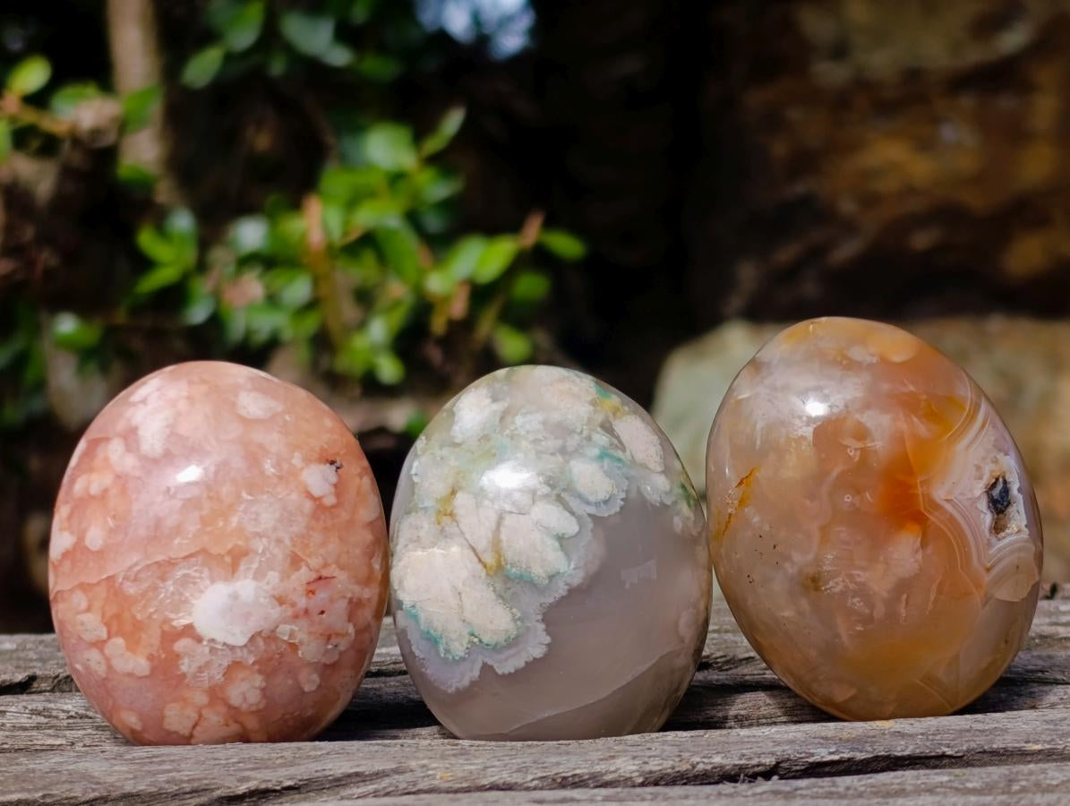 Polished Flower Agate Palm Stones x 24 From Antsahalova, Madagascar - Toprock Gemstones and Minerals 