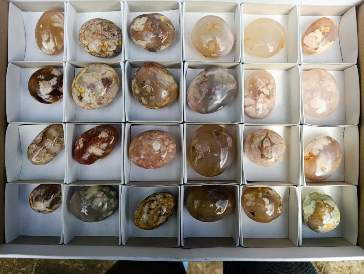 Polished Flower Agate Palm Stones x 24 From Antsahalova, Madagascar - Toprock Gemstones and Minerals 