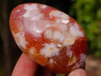 Polished Flower Agate Palm Stones x 24 From Antsahalova, Madagascar - Toprock Gemstones and Minerals 