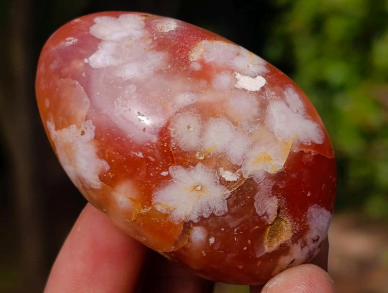 Polished Flower Agate Palm Stones x 24 From Antsahalova, Madagascar - Toprock Gemstones and Minerals 
