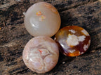 Polished Flower Agate Palm Stones x 24 From Antsahalova, Madagascar - Toprock Gemstones and Minerals 