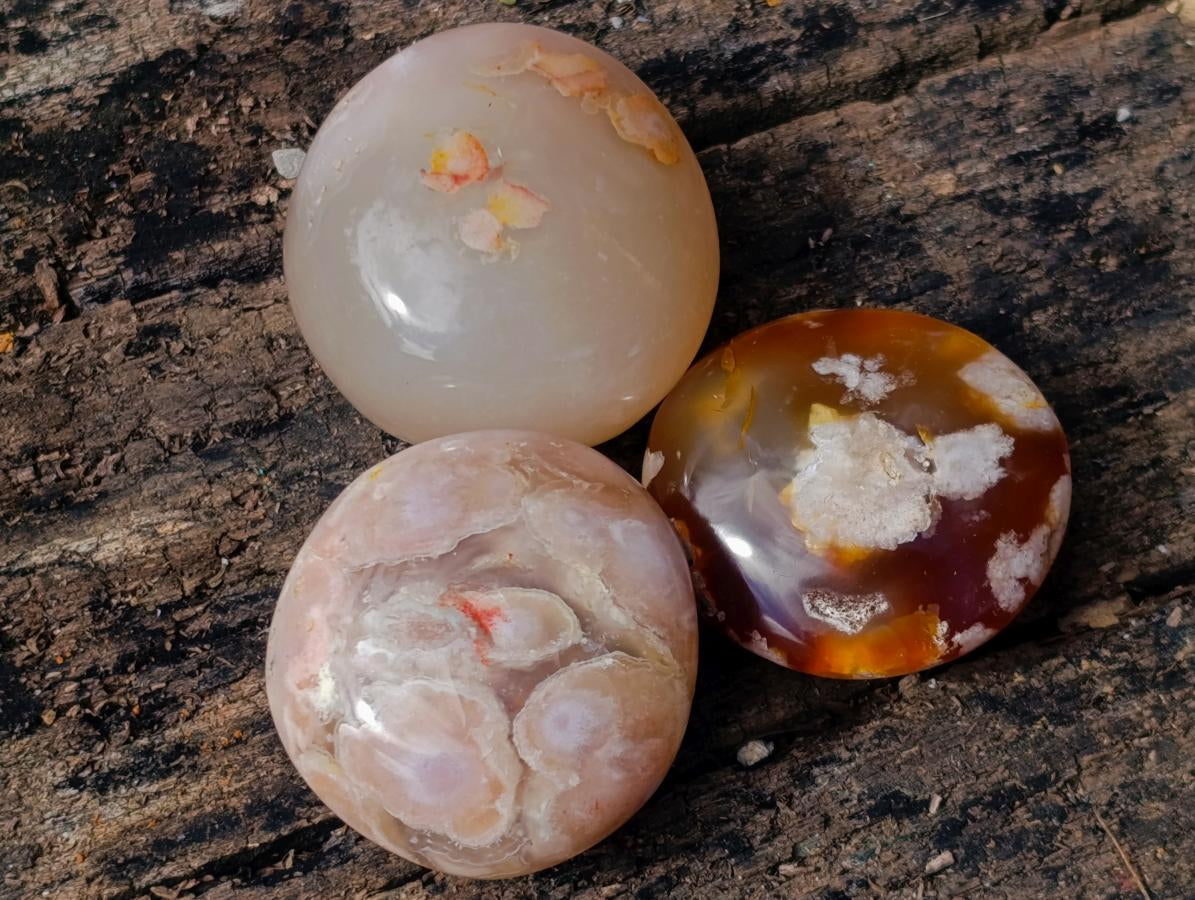 Polished Flower Agate Palm Stones x 24 From Antsahalova, Madagascar - Toprock Gemstones and Minerals 