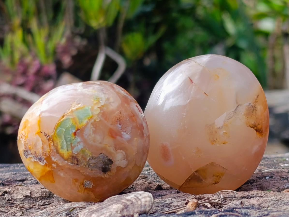Polished Flower Agate Palm Stones x 24 From Antsahalova, Madagascar - Toprock Gemstones and Minerals 