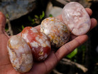 Polished Flower Agate Palm Stones x 24 From Antsahalova, Madagascar - Toprock Gemstones and Minerals 