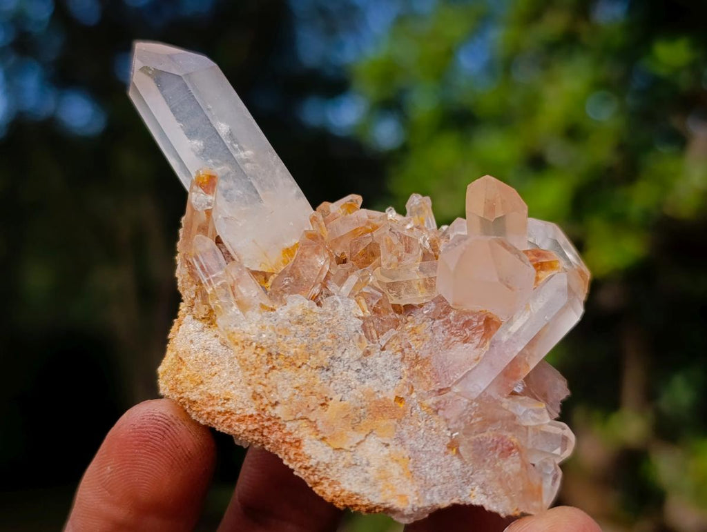Natural Mixed Quartz Crystal Clusters x 24 From Madagascar - Toprock Gemstones and Minerals 