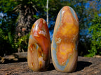 Polished Large Polychrome Jasper Standing Display Pieces x 2 From NW Coast, Madagascar - Toprock Gemstones and Minerals 