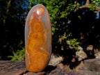 Polished Large Polychrome Jasper Standing Display Pieces x 2 From NW Coast, Madagascar - Toprock Gemstones and Minerals 